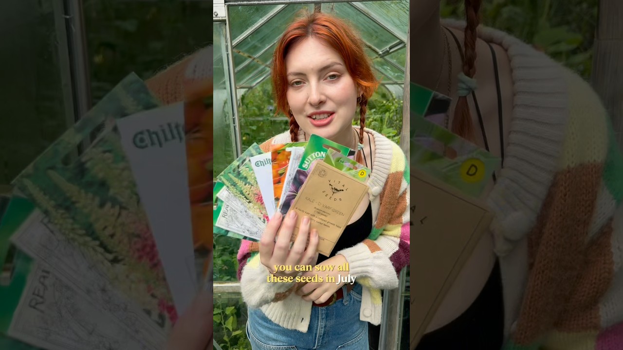 Seeds to sow in July 💚 