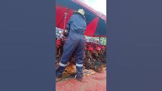 makoloane a ntate lesapo wa tajane 💚🖤hojaa la mamela makaota a matle