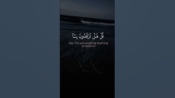 تلاوة خاشعة لآيات من كتاب الله #القرآن_الكريم #الله #اكسبلور #foryou #راحة_نفسية #fyp