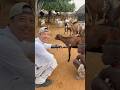 At Hamer village Omo village Ethiopia