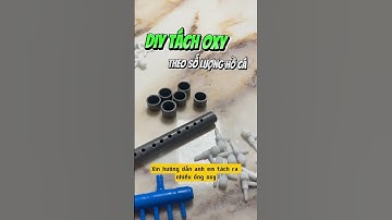 Tự Làm Ống Chia Oxy Cho Hồ Cá Cảnh – Đơn Giản & Hiệu Quả! - Nuôi cá dưỡng tâm