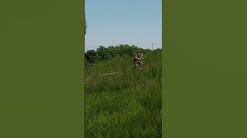 Crossbows in DayZ are hilarious #shorts #dayz