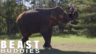 My Best Friend Is A 10,000lb Elephant | BEAST BUDDIES
SUBSCRIBE to Beastly: http://bit.ly/2ceCJY0
WHAT if your best friend weighed 10,000lbs and was able to crush a watermelon under her foot? Acrobat and animal handler Lauryn Murray, 33, from Florida, grew up in a circus and spends almost every day caring for Lady Essex, a huge Asian elephant. Lauryn says the two are as close as a human and an elephant can be’. Amazingly, Lady Essex plays fetch with Lauryn’s dogs and even likes to play with her three-year-old son, who helps give her a bath.
Video Credits:
Videographer / director: Gerrit Messersmith
Producer: Liam Miller, Ruby Coote
Editor: Ed Rius
Follow your favourite Beastly shows on Facebook and Instagram!
Big Dogz: https://www.facebook.com/BIGDOGZSHOW/
Beastly: https://www.instagram.com/beastlyshow/
Dog Dynasty - https://www.instagram.com/dogdynastyshow/
Check out more videos here!
Truly: https://www.youtube.com/user/barcroftmedia/featured
Barcroft Cars: https://www.youtube.com/user/BarcroftCars/featured My Best Friend Is A 10,000lb Elephant | BEAST BUDDIES