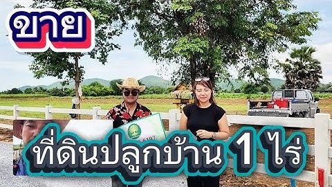 #ขายที่ดินปลูกบ้าน 1 ไร่ แถมฟรีรั้วสี่ด้าน ไฟฟ้าประปาครบ แค่ 499,000 บาท เลาขวัญ กาญจนบุรี 
