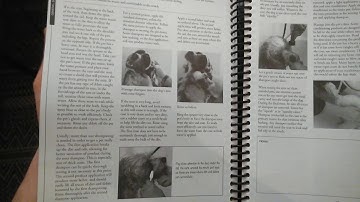 A look inside Notes from the grooming table