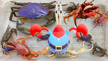 Kem Ốc Chanel nhờ xe cảnh sát biết hình Robot bắt quái vật: cứu cua, cua biển, con cá, con bò, chó.