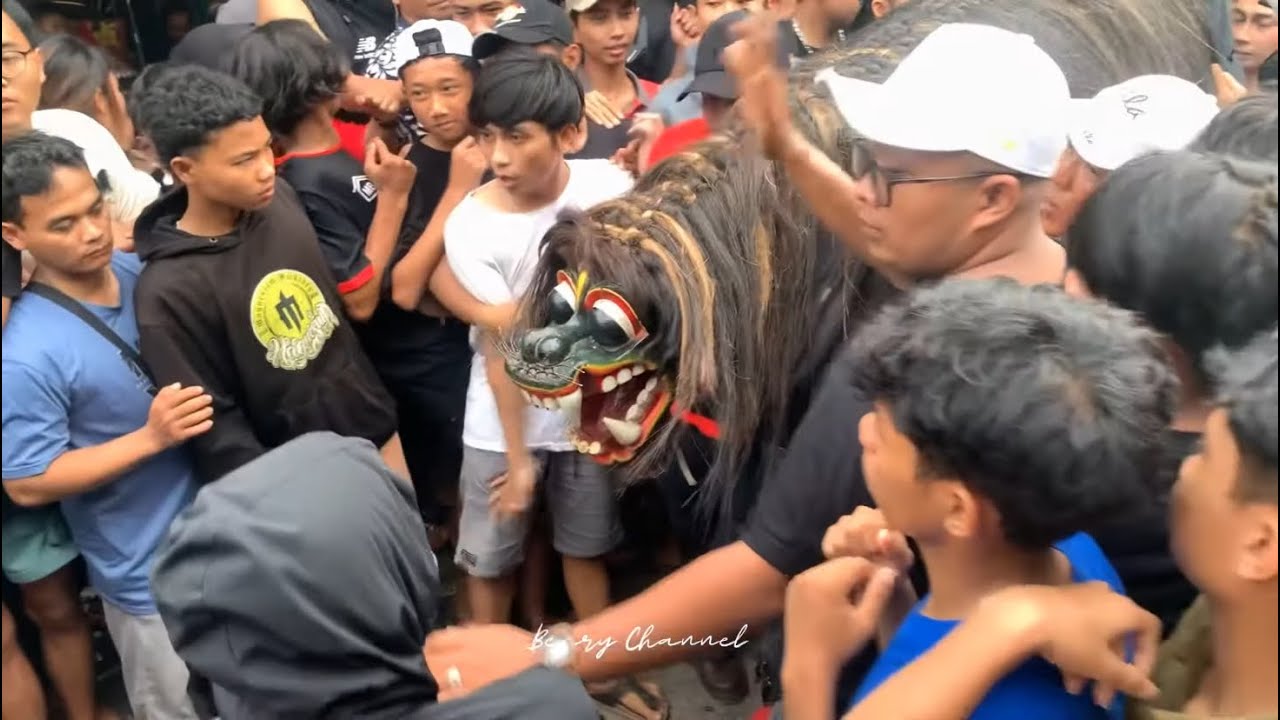 MACAN MACANAN at CUNGKING - MOJOPANGGUNG - BANYUWANGI