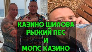 ШИЛОВ РЫЖАЯ СОБАКА ШИЛОВ РЫЖАЯ СОБАКА