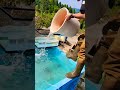 たくさんの水を使います #shorts #short #熊本
