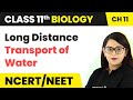 Long Distance Transport of Water - Transport in Plants | Class 11 Biology