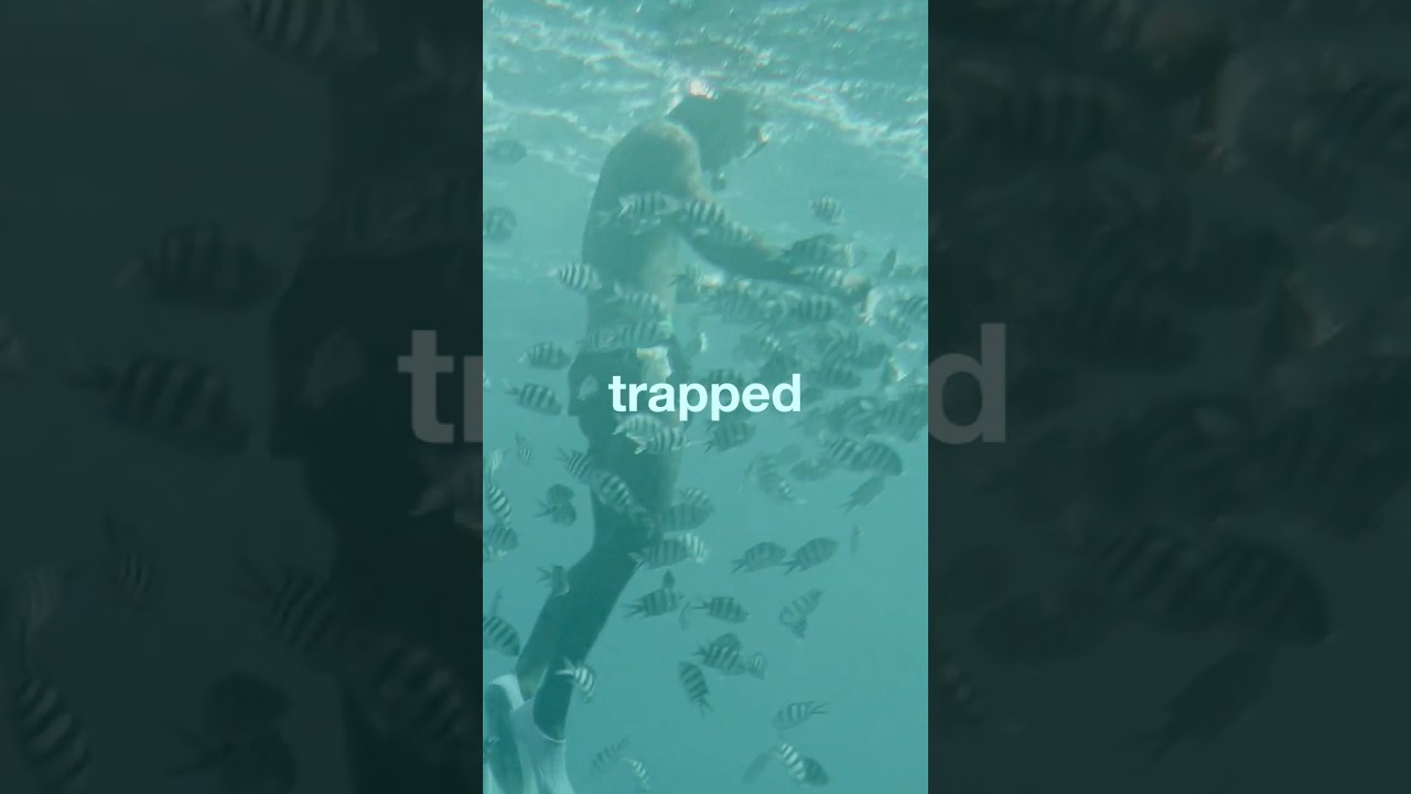 A Man Once Survived 60 Hours Underwater in a Sunken Ship #didyouknow #facts #viralshorts #shorts