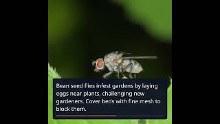 5 Spring Garden Pests to Keep Away: Expert Tips for a Healthy Garden
