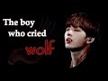 The boy who cried wolf    by mioka    bts 