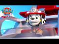 Marshall Günü Kurtardı! (Derleme) | Paw Patrol Türkiye | Çocuklar İçin Çizgi Filmler