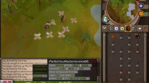 Perfect Hunter | RSBotting.com