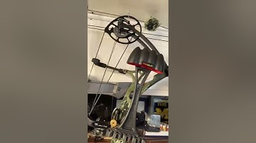 Possible Franken Bow