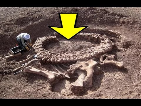 Video: Gdje Pronaći Kosti Dinosaura, Fosile U Cijelom Svijetu