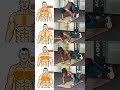 This exercises most Effective Chest Workout #chest #workout #exercise #shorts