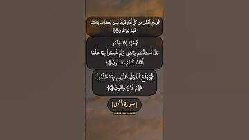 سورة النمل الآية ٨٣ الى ٨٦ بصوت الشيخ محمد صديق المنشاوي