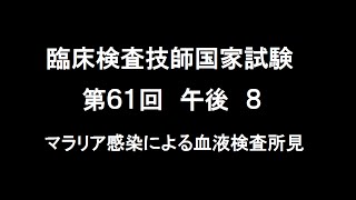 臨床検査技師国家試験第61回午後8