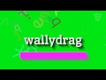 How to say "wallydrag"! (High Quality Voices)