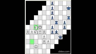 Can Hexagonal Chess (Glinski's) with Squares?