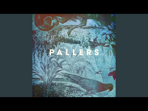 Pallers - Sound Of Silence