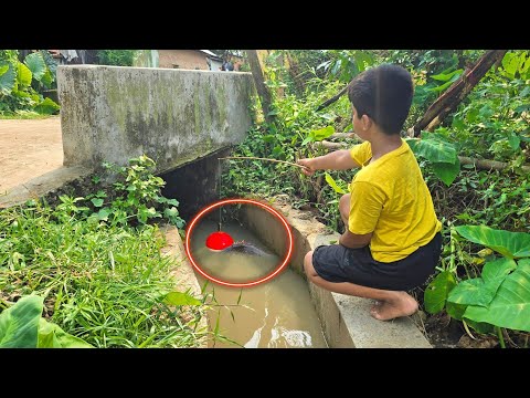 Fishing Video 🐡 ✅️ || The Skilled Expert boy fish hunting in village drain with full of rain water 🎣