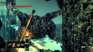 Dark Souls: Ultimate dragon action - super intense fight (Must see)