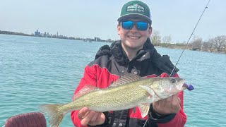 Detroit River Walleyes ON FIRE! (40+ fish in 3 hours)