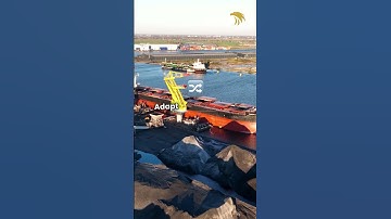 ⚓ Leading Through Change: The Søren Skou Story 🌍#story #leadership #maersk