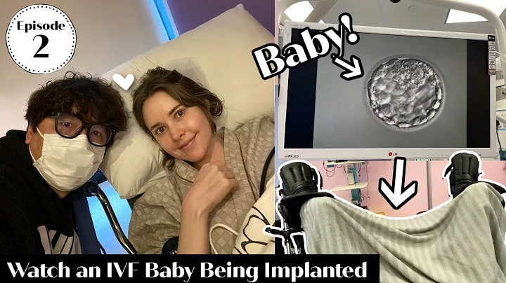 IVF Egg Retrieval & Embryo Transfer | Our Fertility Journey Episode 2 - DayDayNews