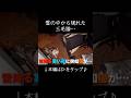 雪降る寒い夜にやって来た猫…