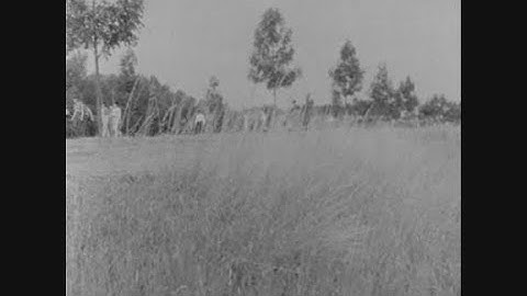 News Item (186c4db8-717b-ed19-fe31-783e6e6b0af5)