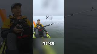 Mysterious Marine Stings & Fishing Fails What Was It?