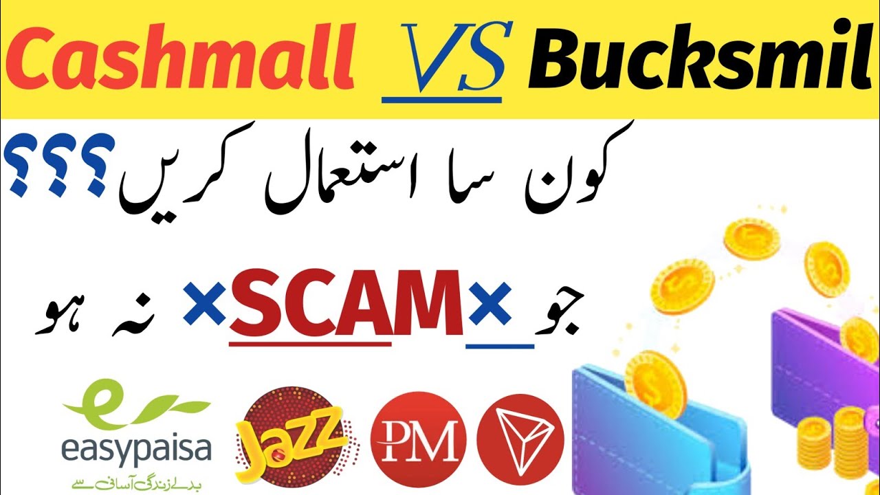 Cashmaal vs bucksmil which one is best? | Cashmall | Bucksmil
