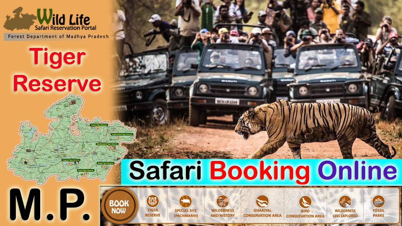 mp online safari booking