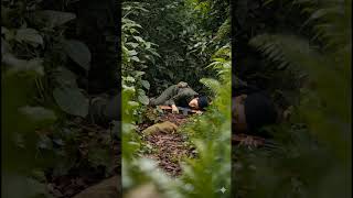 The Kilometer Kill Winchester Steel vs  The Green Labyrinth