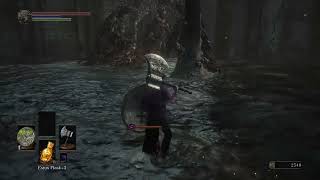 Dark Souls 3 - Fighting some Elder Ghru