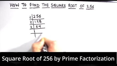 How to Find Square Root of 256 by Prime Factorization / Square Root of 256 / 256  Square Root