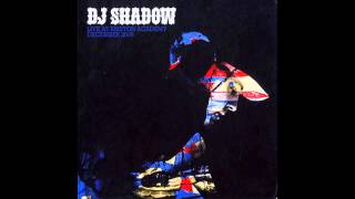 DJ Shadow - This Time (I'm Gonna Try It My Way) - Live @ Brixton Academy December 2006