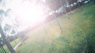 Tree Dancing FPV Freestyle