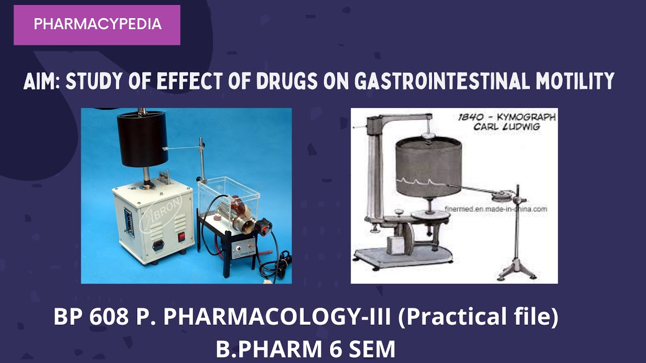 Study of effect of drugs on gastrointestinal motility B.PHARM 6 SEM