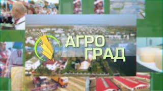 картинка: Агроград 26-02-20