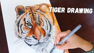 Tiger drawing | Creating fur with markers!