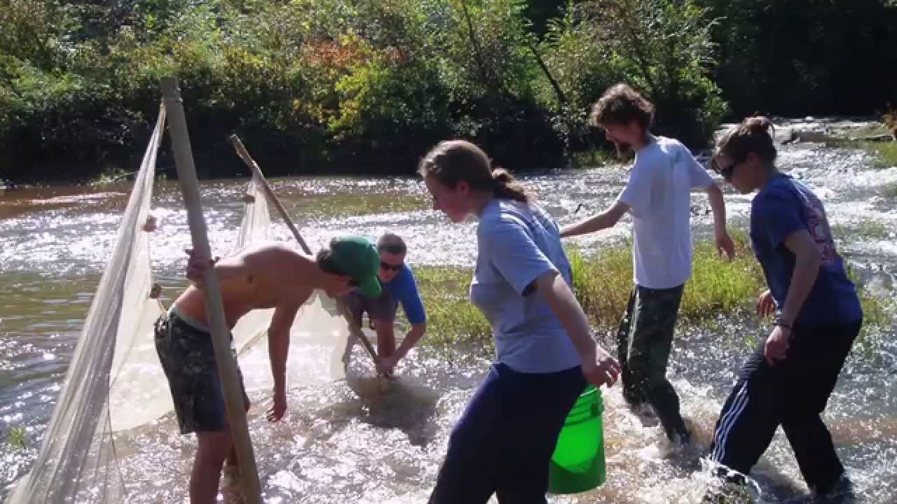 Fisheries Faculty Spotlight: Carol Johnston