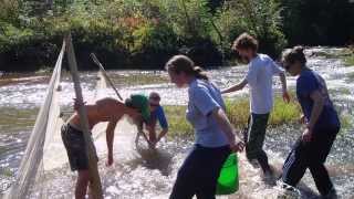 Fisheries Faculty Spotlight: Carol Johnston