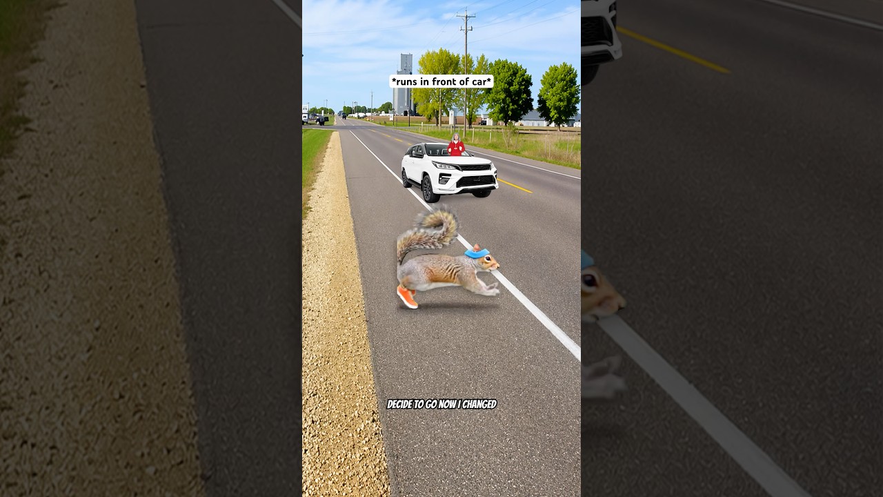 When Squirrels See A Car Coming 🤣 #shorts #relatable