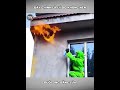 Đây chính là lý do không nên đuổi ong bằng lửa #tintuc #reviewvui #xuhướng #giaitri #funny