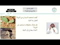 ماذا يوجد في التربة العلوم ثاني ابتدائي